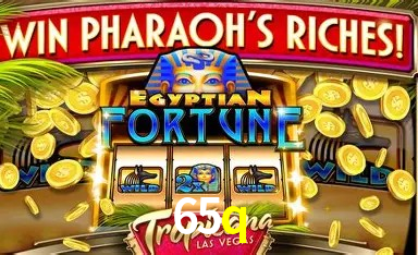 Descubra o Programa VIP da 65q: Vantagens Exclusivas para Jogadores